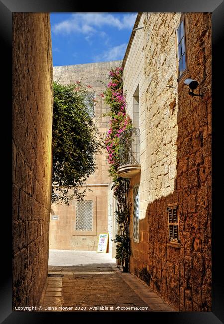 Mdina The Silent City Malta Framed Print by Diana Mower