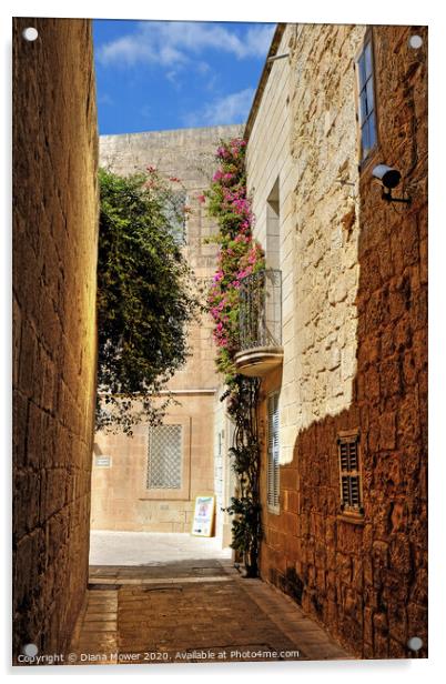 Mdina The Silent City Malta Acrylic by Diana Mower