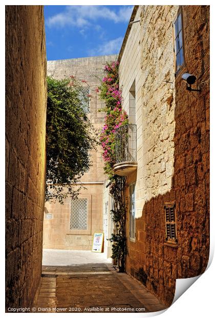 Mdina The Silent City Malta Print by Diana Mower