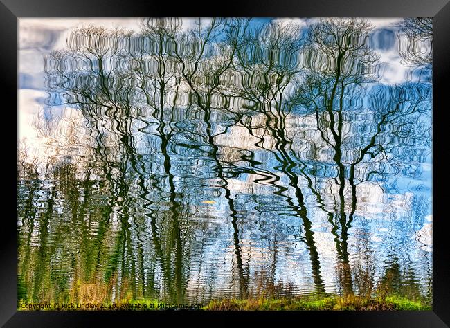 Trees Water Reflection Framed Print by Rick Lindley