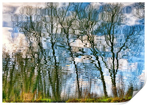 Trees Water Reflection Print by Rick Lindley