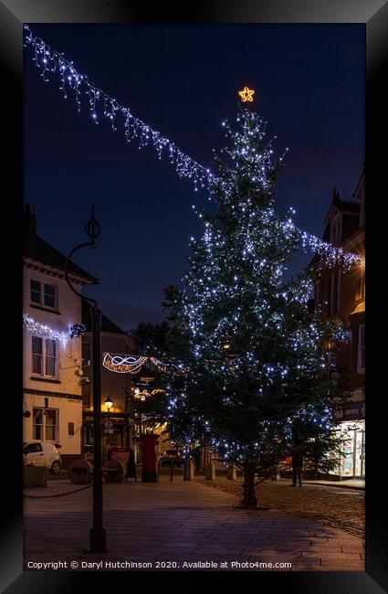 Launceston Christmas Tree Framed Print by Daryl Peter Hutchinson
