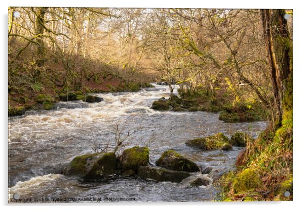 Bala Rapids Acrylic by chris hyde