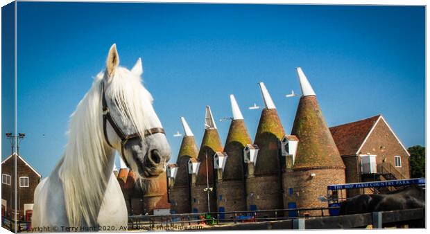 Oast Houses in Kent Canvas Print by Terry Hunt