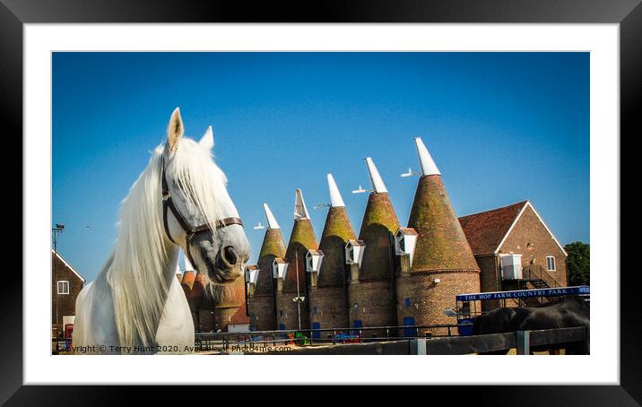 Oast Houses in Kent Framed Mounted Print by Terry Hunt