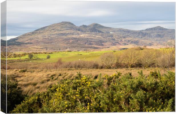 Welsh Mountains Canvas Print by chris hyde