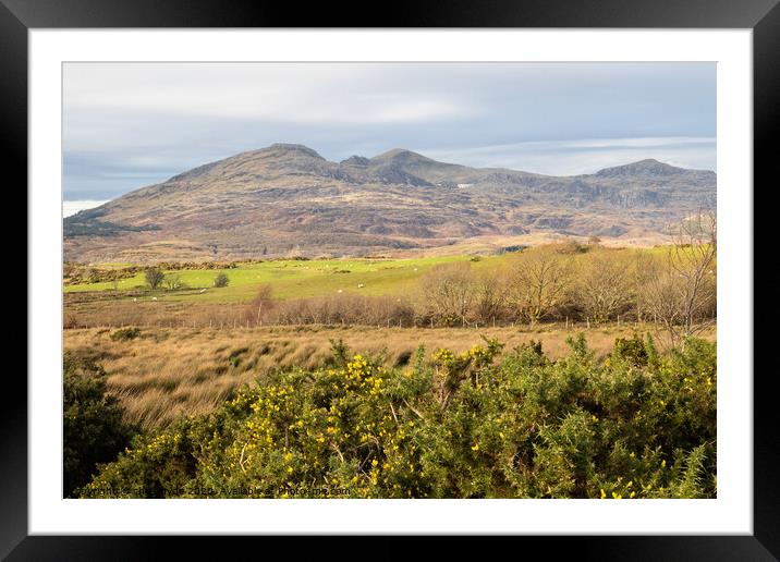 Welsh Mountains Framed Mounted Print by chris hyde