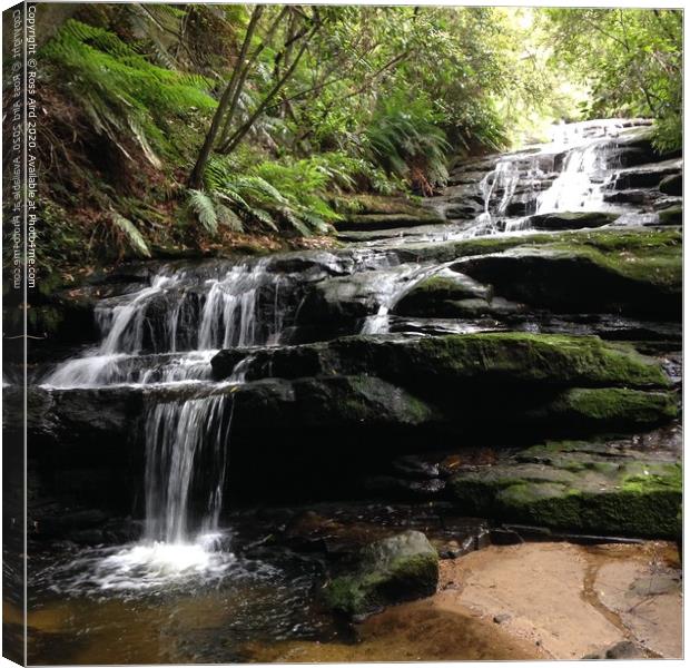 Blue Mountains, NSW Waterfall Canvas Print by Ross Aird