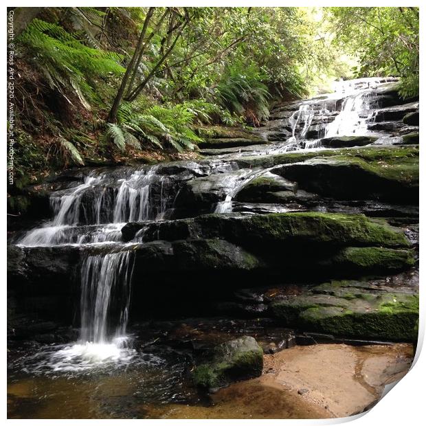 Blue Mountains, NSW Waterfall Print by Ross Aird