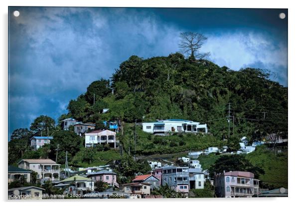 the island  of Grenada  Acrylic by keith hannant