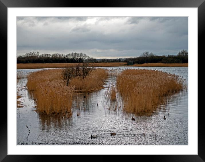 Far Ings Nature Reserve Framed Mounted Print by Angela Cottingham