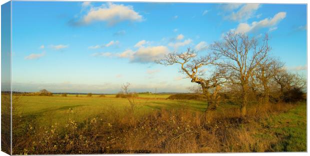 Fields in autumn at Hullbridge, Essex, UK. Canvas Print by Peter Bolton
