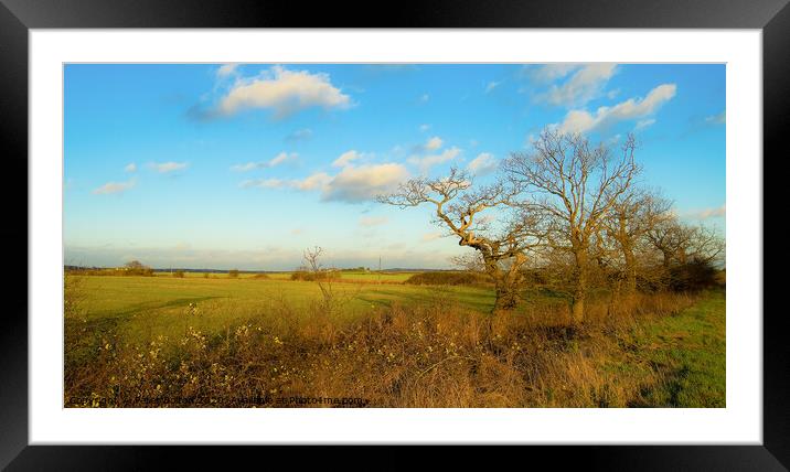 Fields in autumn at Hullbridge, Essex, UK. Framed Mounted Print by Peter Bolton