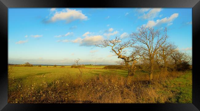 Fields in autumn at Hullbridge, Essex, UK. Framed Print by Peter Bolton