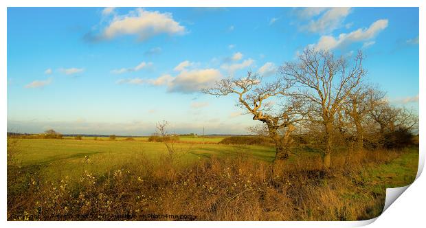 Fields in autumn at Hullbridge, Essex, UK. Print by Peter Bolton
