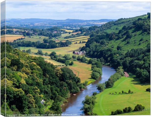 Wye Valley from Symonds Yat Rock - Forest of Dean Canvas Print by Janet Carmichael