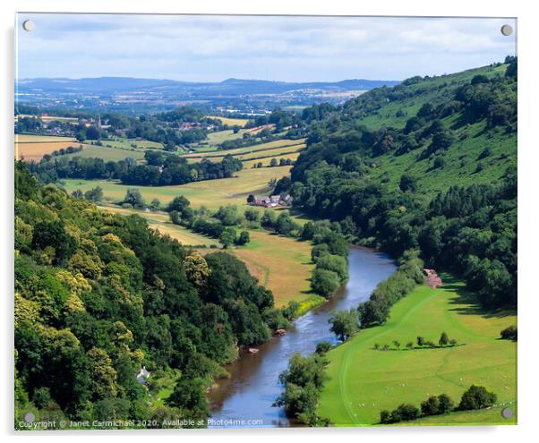 Wye Valley from Symonds Yat Rock - Forest of Dean Acrylic by Janet Carmichael