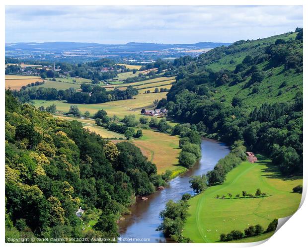 Wye Valley from Symonds Yat Rock - Forest of Dean Print by Janet Carmichael