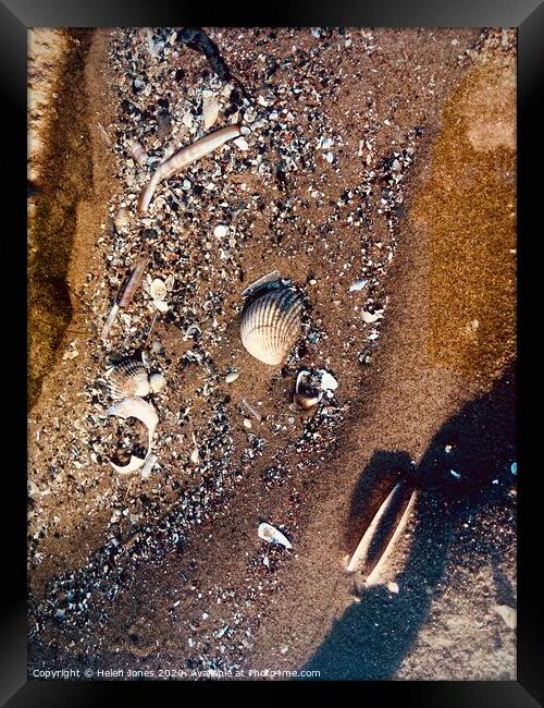 Shell Fragments in Sand  Framed Print by Helen Jones