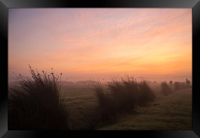 Misty sunrise on Northam Burrows Framed Print by Tony Twyman
