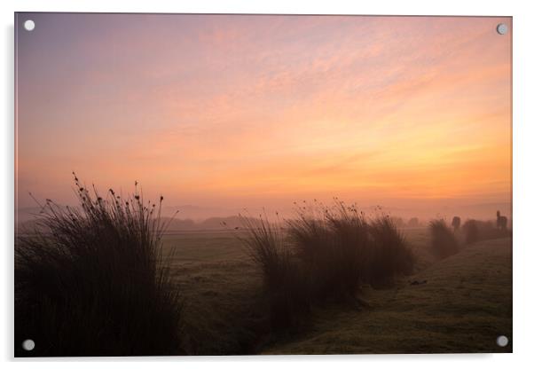 Misty sunrise on Northam Burrows Acrylic by Tony Twyman