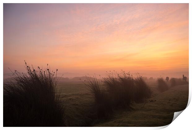 Misty sunrise on Northam Burrows Print by Tony Twyman