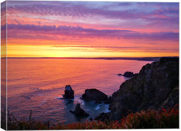 Hope Cove Sunset Canvas Print by Michelle Bowler