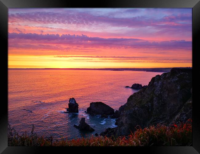 Hope Cove Sunset Framed Print by Michelle Bowler