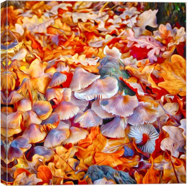 Autumn Mixture Canvas Print by Clive Eariss