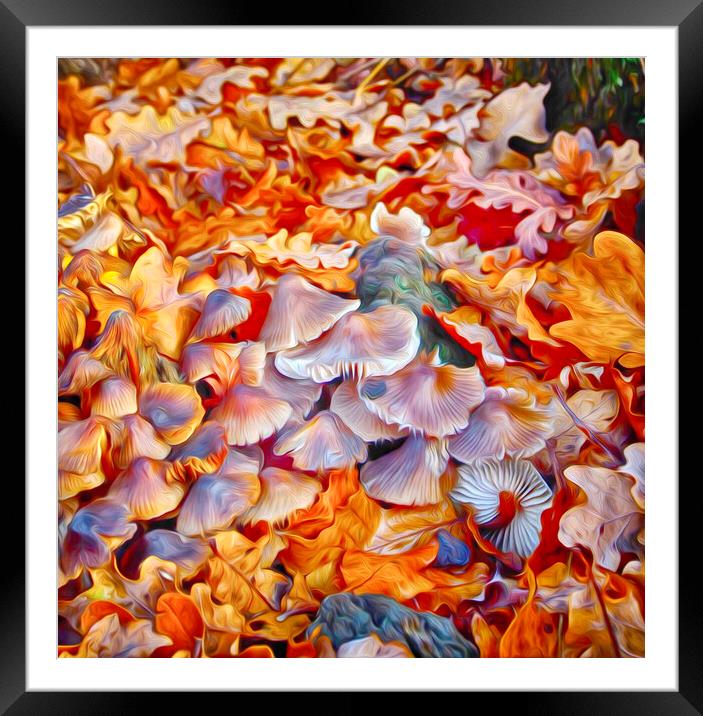 Autumn Mixture Framed Mounted Print by Clive Eariss