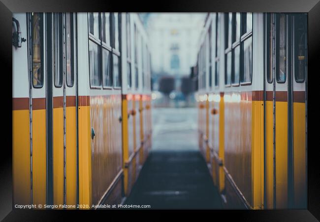 Between two yellow trams Framed Print by Sergio Falzone