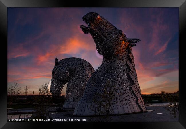 Kelpie Horses head Scotland  Framed Print by Holly Burgess