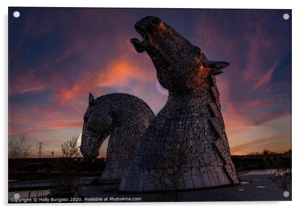 Kelpie Horses head Scotland  Acrylic by Holly Burgess