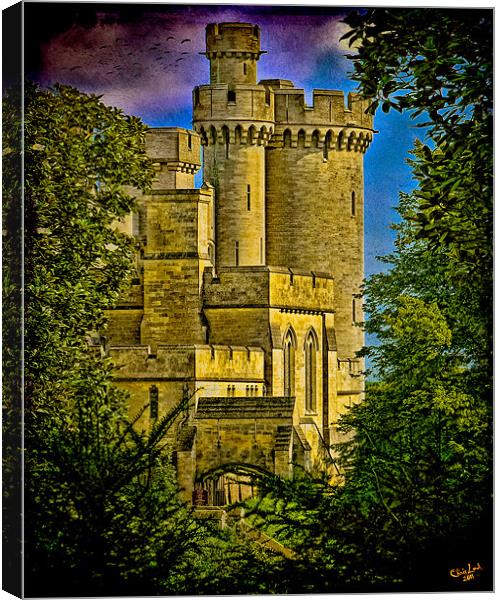 Arundel Castle Through the Trees Canvas Print by Chris Lord