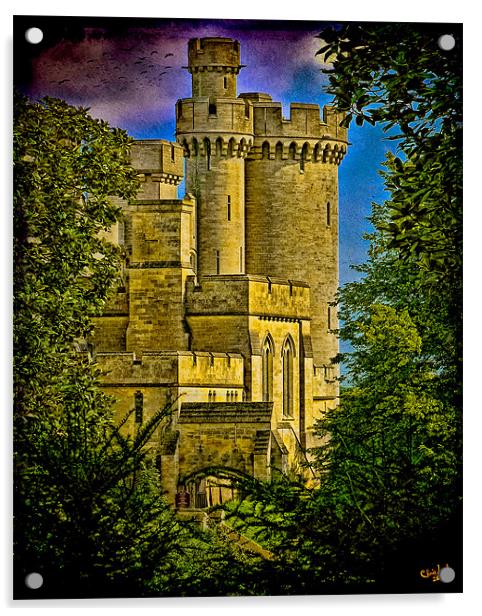 Arundel Castle Through the Trees Acrylic by Chris Lord