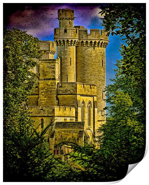 Arundel Castle Through the Trees Print by Chris Lord