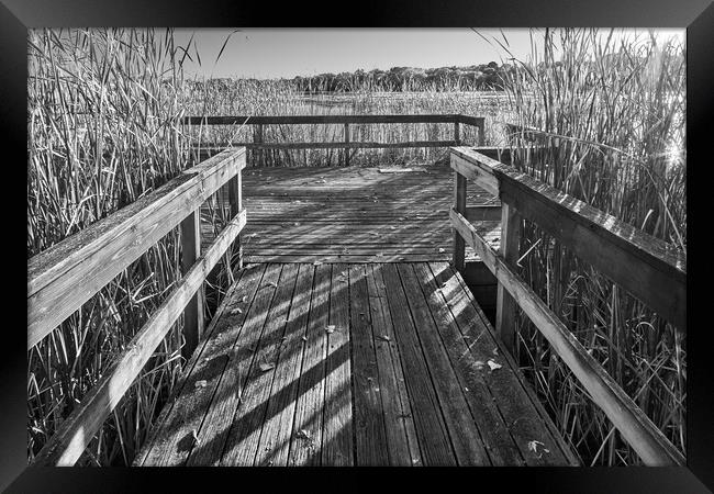 Old Fishing Dock Framed Print by Jim Hughes