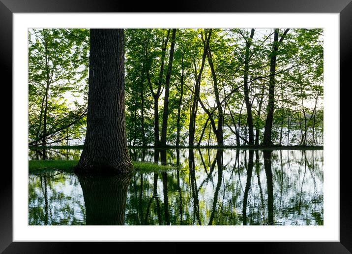 Lake Nokomis In A Wet Spring Framed Mounted Print by Jim Hughes