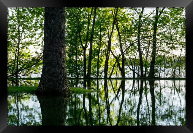 Lake Nokomis In A Wet Spring Framed Print by Jim Hughes