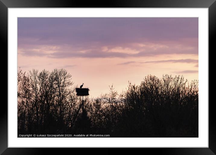 Stork in the nest at sunset Framed Mounted Print by Łukasz Szczepański