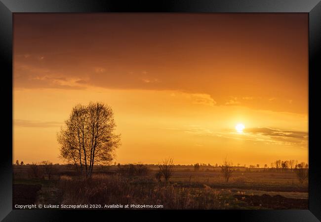 Sunset at meadow Framed Print by Łukasz Szczepański