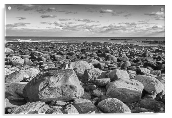 New Hampshire's Rocky Coast Acrylic by Jim Hughes