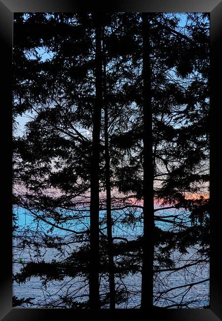 The Maine Coast Framed Print by Jim Hughes