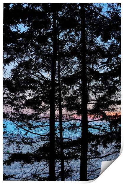 The Maine Coast Print by Jim Hughes