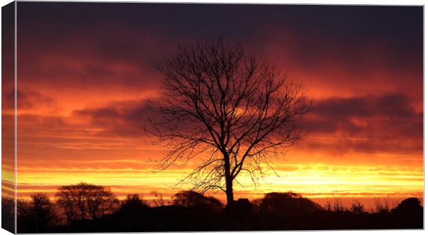  Cotswold sunrise Canvas Print by Simon Johnson