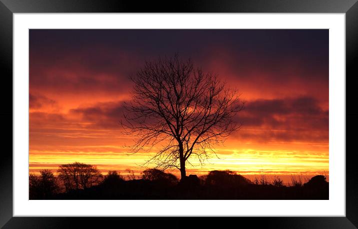  Cotswold sunrise Framed Mounted Print by Simon Johnson