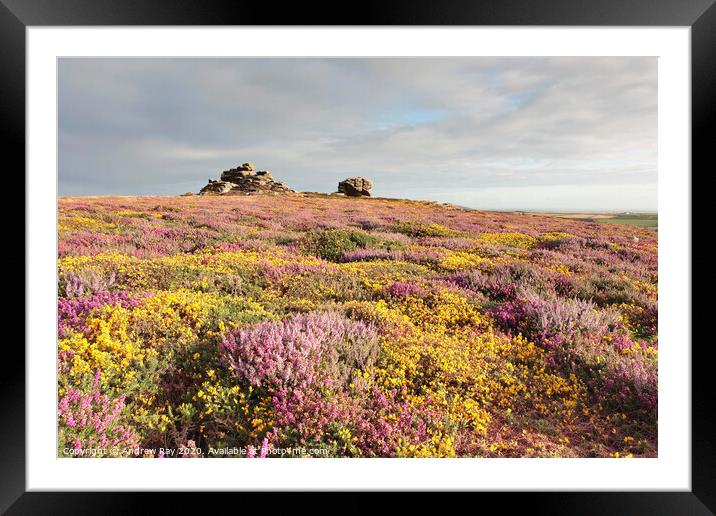 Penwith Moors Framed Mounted Print by Andrew Ray