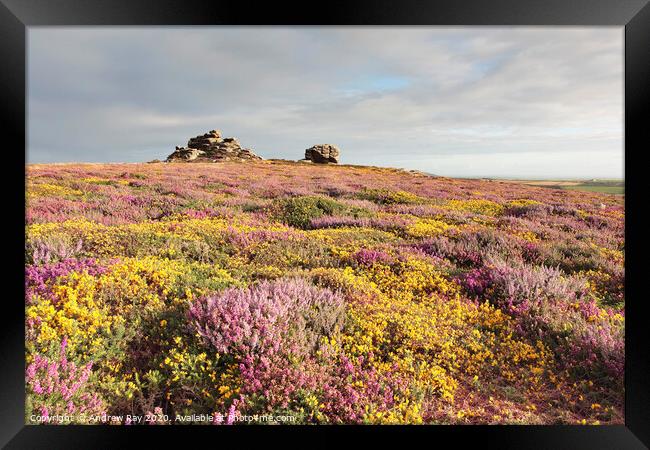 Penwith Moors Framed Print by Andrew Ray