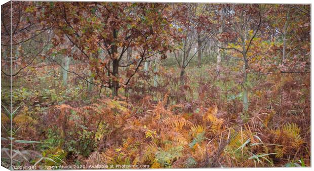 Autumn woodland Canvas Print by Jason Atack