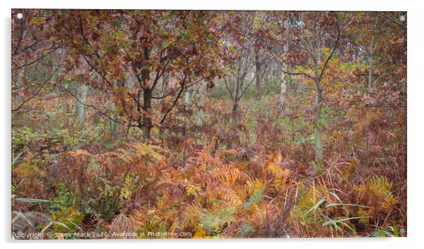 Autumn woodland Acrylic by Jason Atack